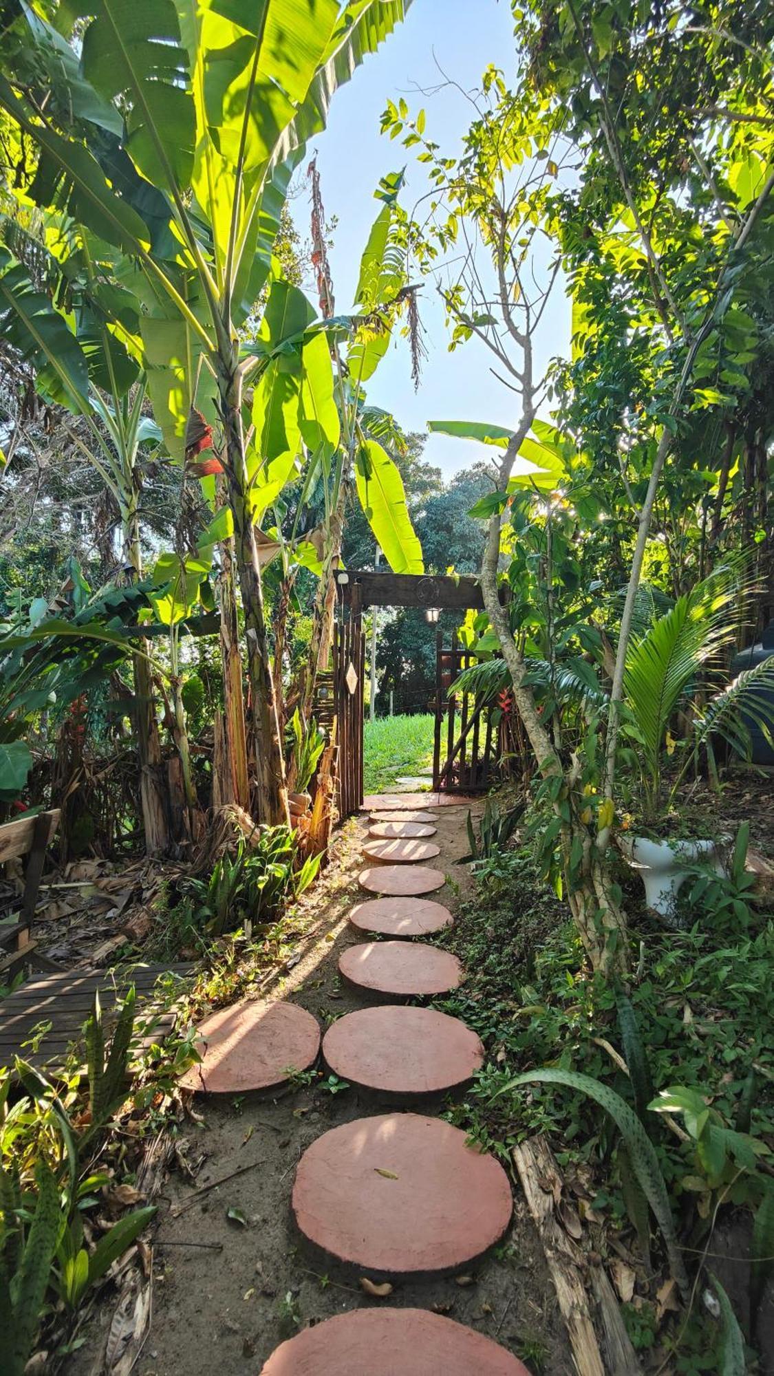 Eco Hostel Bosque Di Barro Velha Boipeba Luaran gambar